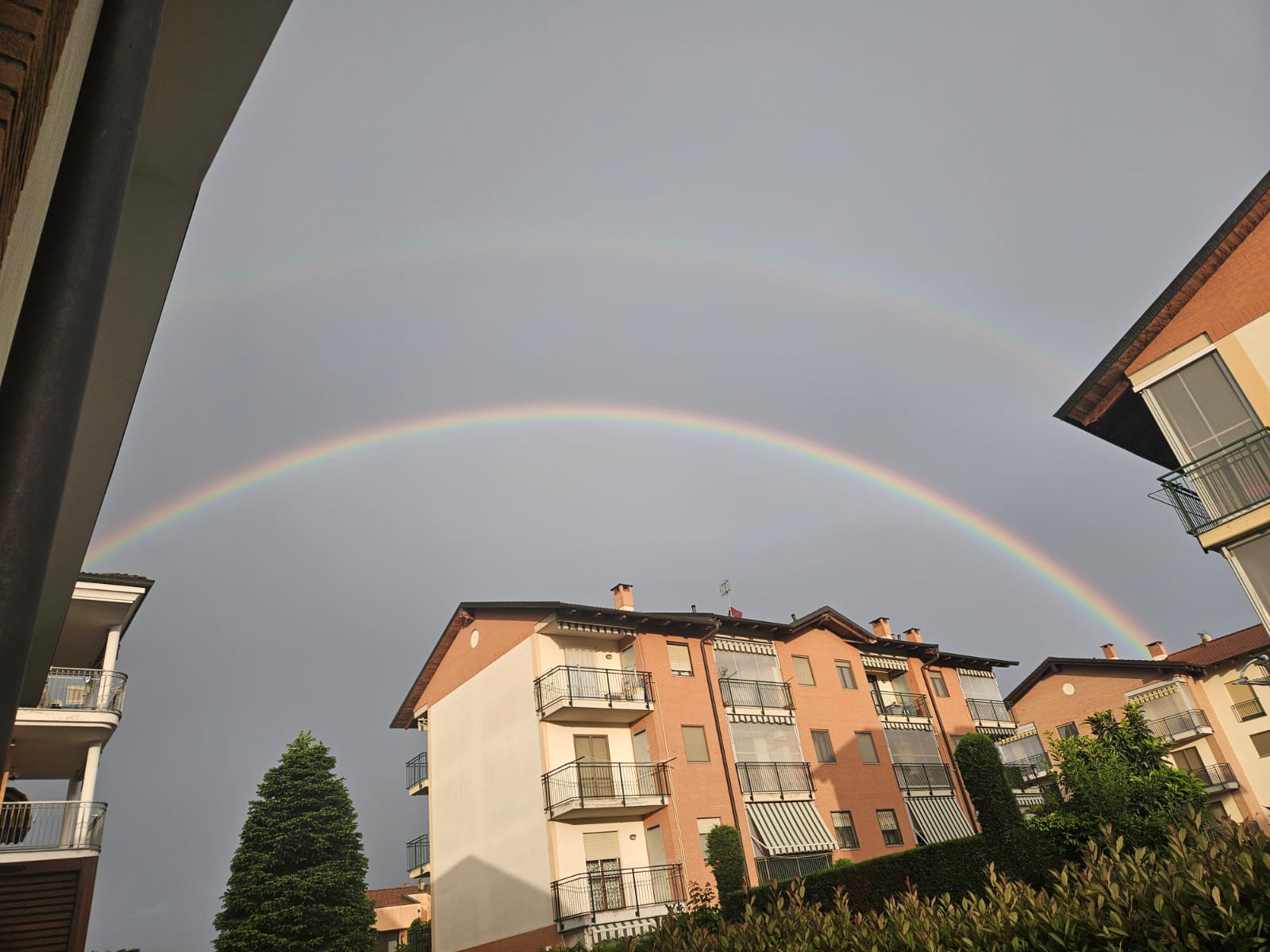 La solitudine. Una morsa che rischia di stritolare la speranza di poter costruire un nuovo futuro!