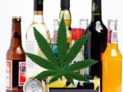 Nature Publishing Group: consumo di alcol e marijuana, quali sono i fattori di rischio?