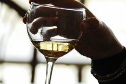 Effetti benefici del vino bianco: i risultati di uno studio italiano